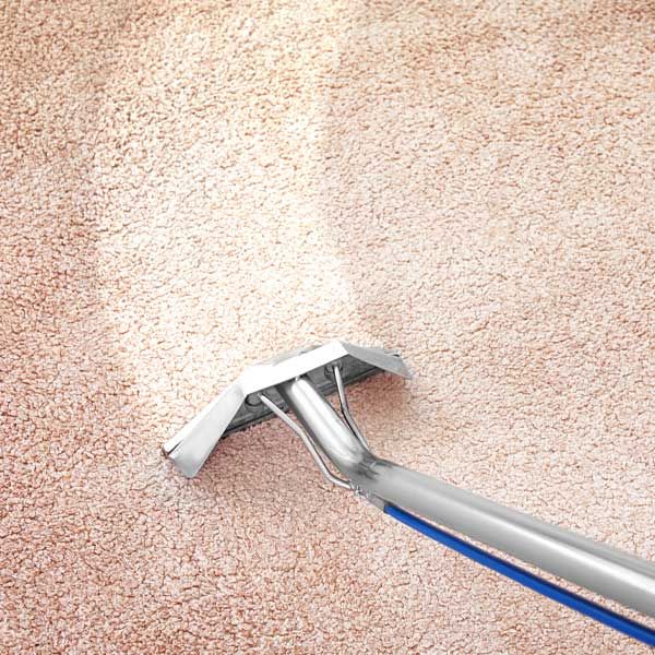 About Marana Carpet Cleaning Pros